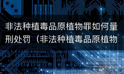 非法种植毒品原植物罪如何量刑处罚（非法种植毒品原植物罪量刑标准）