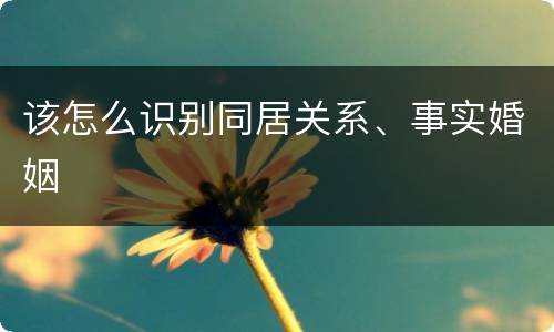 该怎么识别同居关系、事实婚姻