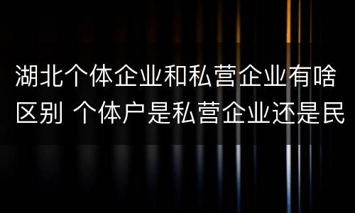 湖北个体企业和私营企业有啥区别 个体户是私营企业还是民营企业