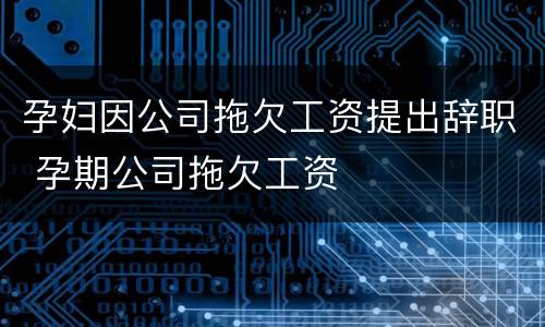 孕妇因公司拖欠工资提出辞职 孕期公司拖欠工资