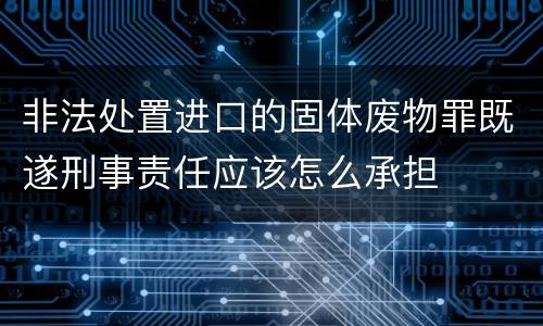 非法处置进口的固体废物罪既遂刑事责任应该怎么承担