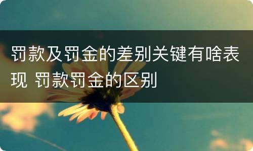 罚款及罚金的差别关键有啥表现 罚款罚金的区别