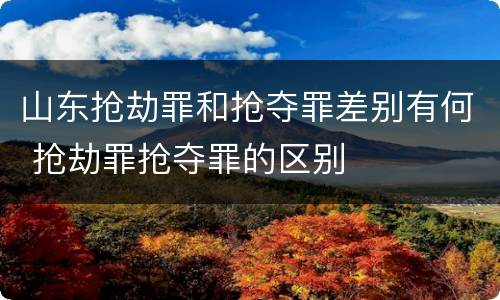山东抢劫罪和抢夺罪差别有何 抢劫罪抢夺罪的区别