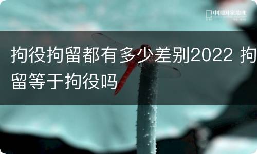 拘役拘留都有多少差别2022 拘留等于拘役吗