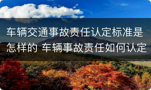 车辆交通事故责任认定标准是怎样的 车辆事故责任如何认定