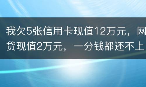 我欠5张信用卡现值12万元，网贷现值2万元，一分钱都还不上了，会判多少年