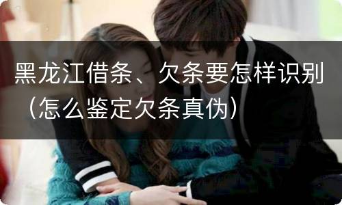 黑龙江借条、欠条要怎样识别（怎么鉴定欠条真伪）