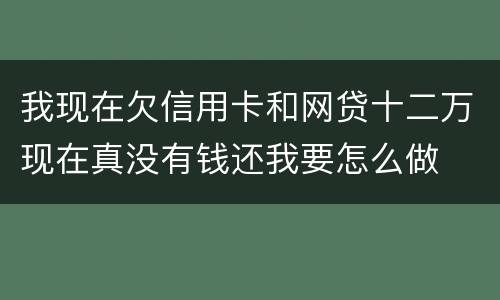 我现在欠信用卡和网贷十二万现在真没有钱还我要怎么做