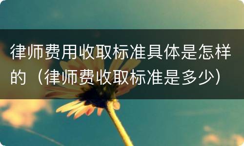 律师费用收取标准具体是怎样的（律师费收取标准是多少）