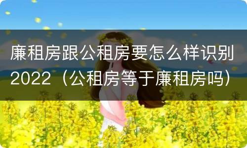 廉租房跟公租房要怎么样识别2022（公租房等于廉租房吗）