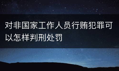 对非国家工作人员行贿犯罪可以怎样判刑处罚