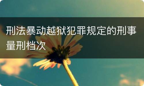 刑法暴动越狱犯罪规定的刑事量刑档次