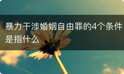 暴力干涉婚姻自由罪的4个条件是指什么