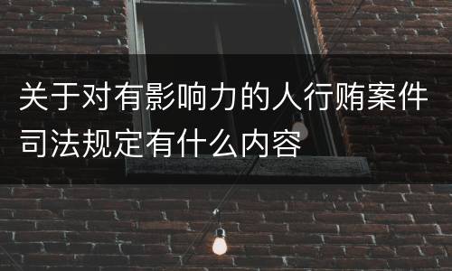 关于对有影响力的人行贿案件司法规定有什么内容