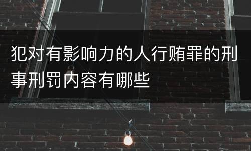 犯对有影响力的人行贿罪的刑事刑罚内容有哪些