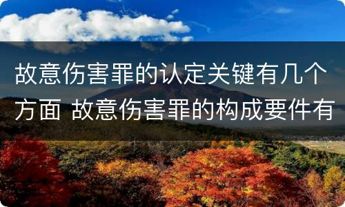 故意伤害罪的认定关键有几个方面 故意伤害罪的构成要件有哪些