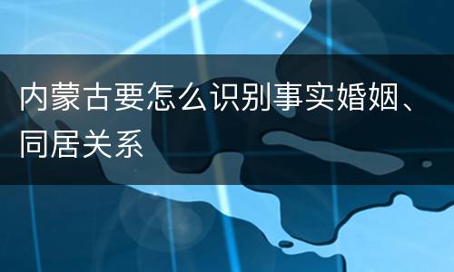 内蒙古要怎么识别事实婚姻、同居关系