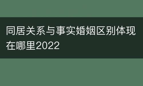同居关系与事实婚姻区别体现在哪里2022
