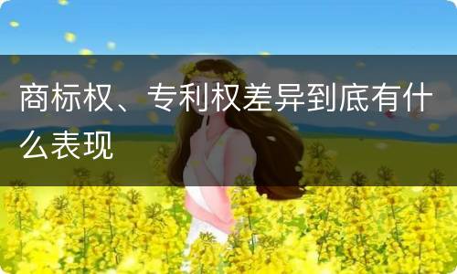 商标权、专利权差异到底有什么表现