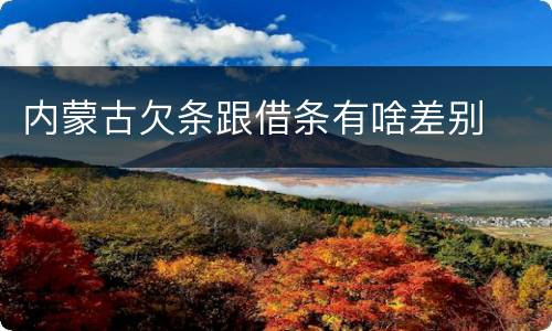 内蒙古欠条跟借条有啥差别