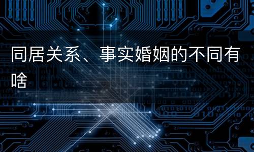 同居关系、事实婚姻的不同有啥