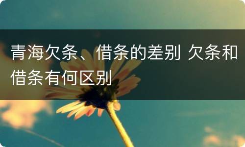 青海欠条、借条的差别 欠条和借条有何区别