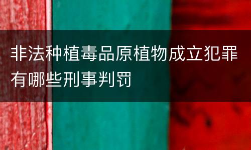 非法种植毒品原植物成立犯罪有哪些刑事判罚