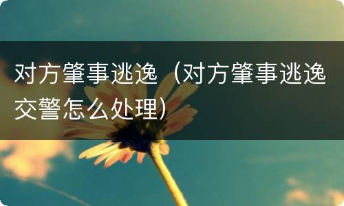 对方肇事逃逸（对方肇事逃逸交警怎么处理）