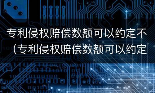 专利侵权赔偿数额可以约定不（专利侵权赔偿数额可以约定不执行吗）