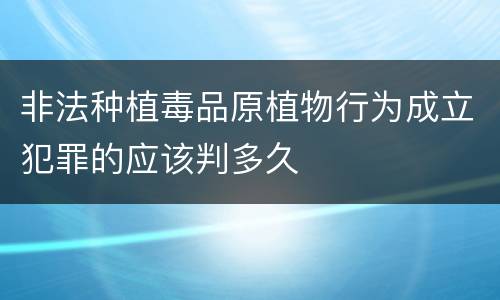 非法种植毒品原植物行为成立犯罪的应该判多久