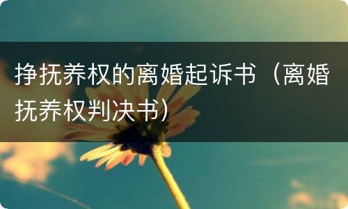 挣抚养权的离婚起诉书（离婚抚养权判决书）