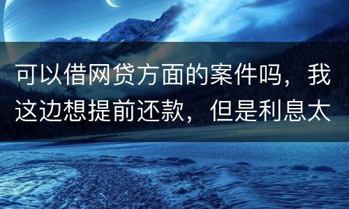 可以借网贷方面的案件吗，我这边想提前还款，但是利息太高