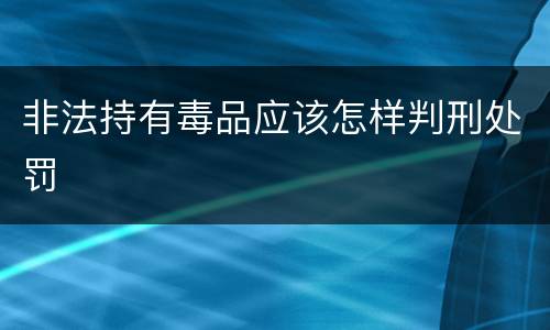 非法持有毒品应该怎样判刑处罚