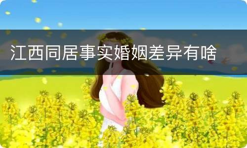 江西同居事实婚姻差异有啥