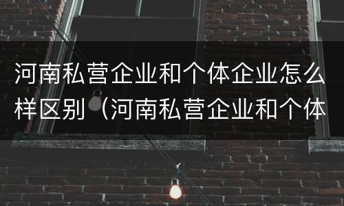 河南私营企业和个体企业怎么样区别（河南私营企业和个体企业怎么样区别呢）
