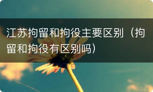 江苏拘留和拘役主要区别（拘留和拘役有区别吗）