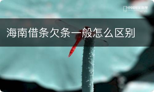 海南借条欠条一般怎么区别
