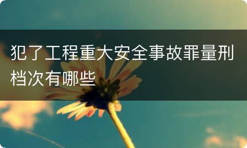 犯了工程重大安全事故罪量刑档次有哪些