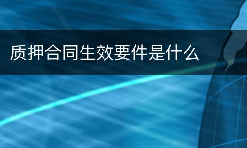 质押合同生效要件是什么