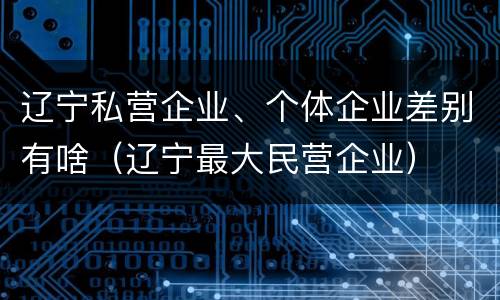 辽宁私营企业、个体企业差别有啥（辽宁最大民营企业）