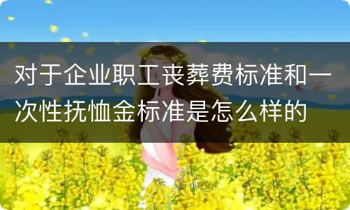 对于企业职工丧葬费标准和一次性抚恤金标准是怎么样的