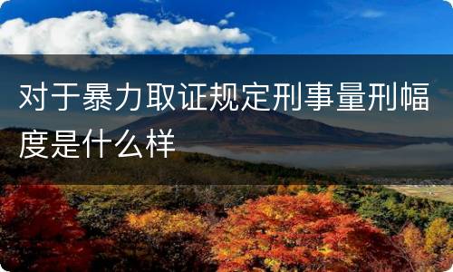 对于暴力取证规定刑事量刑幅度是什么样