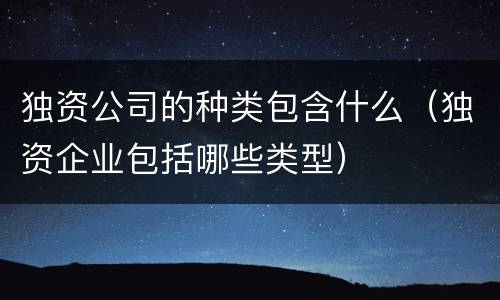 独资公司的种类包含什么（独资企业包括哪些类型）