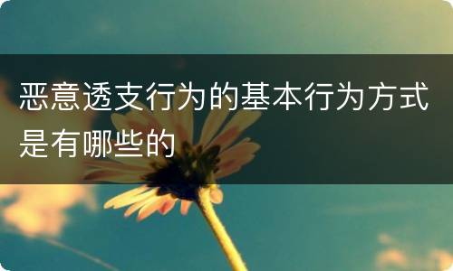 恶意透支行为的基本行为方式是有哪些的