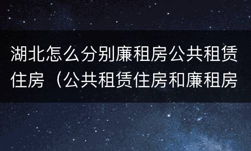湖北怎么分别廉租房公共租赁住房（公共租赁住房和廉租房）