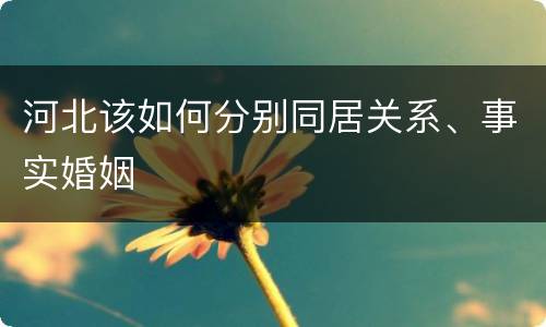 河北该如何分别同居关系、事实婚姻