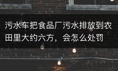 污水车把食品厂污水排放到农田里大约六方，会怎么处罚