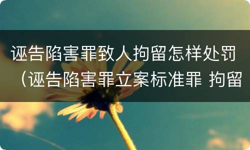 诬告陷害罪致人拘留怎样处罚（诬告陷害罪立案标准罪 拘留）