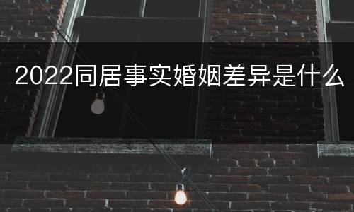 2022同居事实婚姻差异是什么