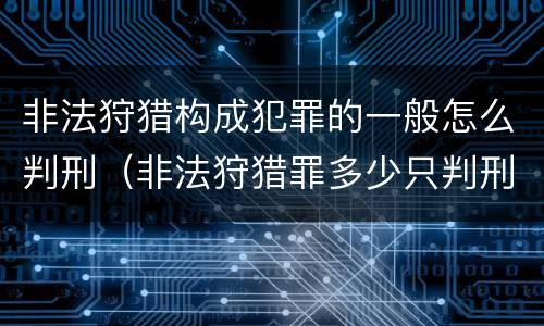 非法狩猎构成犯罪的一般怎么判刑（非法狩猎罪多少只判刑）